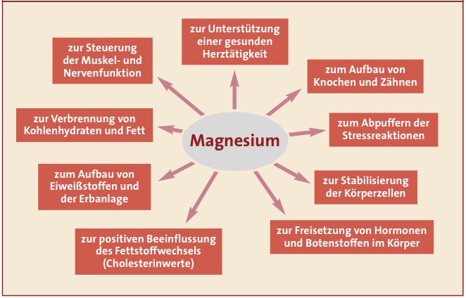 Magnesium | Dr. med. Barbara Hendel